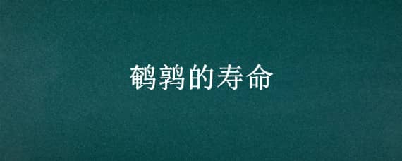 鹌鹑的寿命（鹌鹑的寿命为什么那么短）