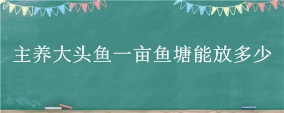 主养大头鱼一亩鱼塘能放多少 一亩鱼塘放多少条鱼