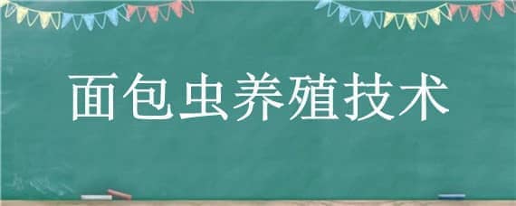 面包虫养殖技术 面包虫养殖技术与利润