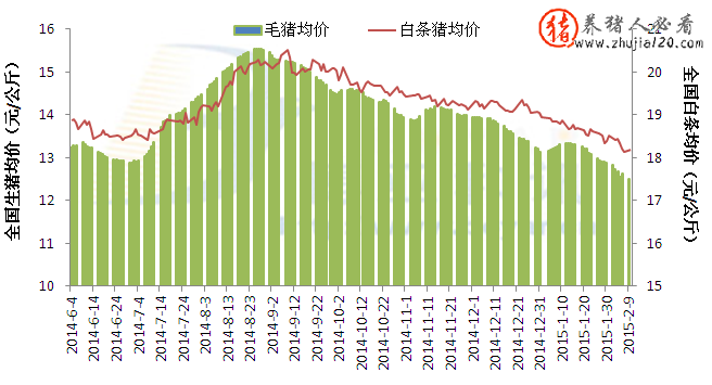 外三元生猪均价为12.51元/公斤（外三元生猪价格今日猪价）