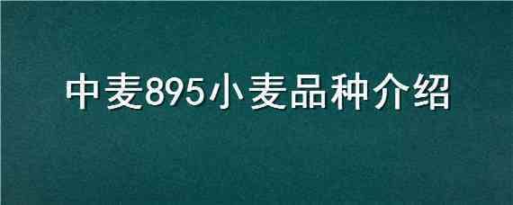 中麦895小麦品种介绍 中麦93小麦种