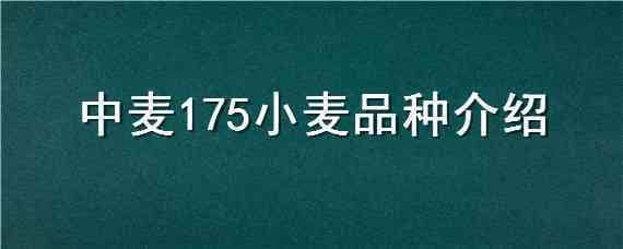 中麦175小麦品种介绍 中麦170小麦品种