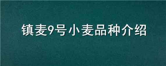 镇麦9号小麦品种介绍（临麦9号小麦品种简介）