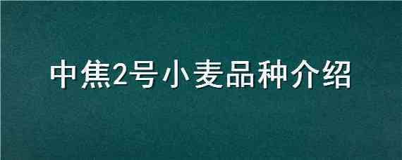 中焦2号小麦品种介绍 中焦2号小麦种子