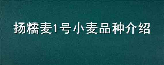 扬糯麦1号小麦品种介绍（商麦一号小麦品种介绍）