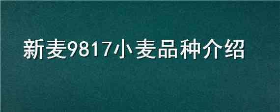 新麦9817小麦品种介绍 1086小麦品种