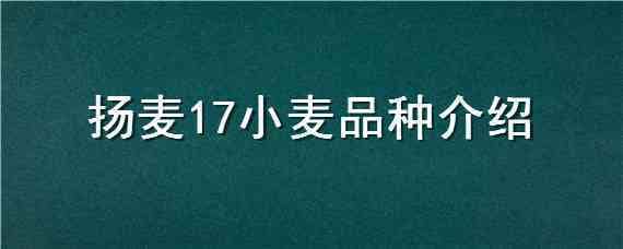 扬麦17小麦品种介绍 扬麦33小麦品种简介