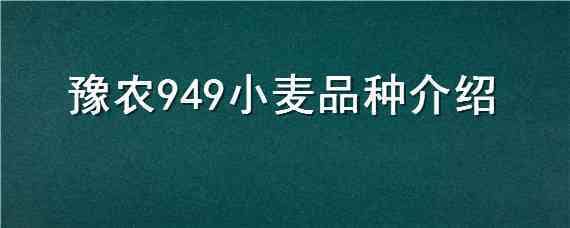 豫农949小麦品种介绍（豫农949小麦品种特性）