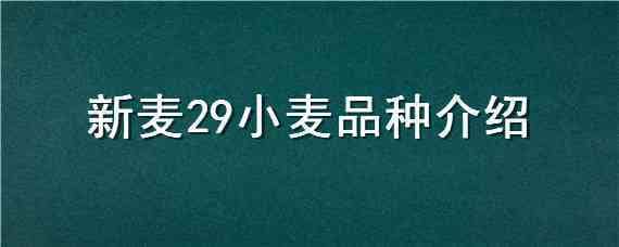 新麦29小麦品种介绍（新新麦26小麦品种介绍）