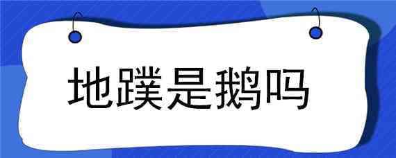 地蹼是鹅吗 地蹼是天鹅吗