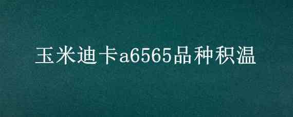 玉米迪卡a6565品种积温 迪卡a6565玉米品种种植密度