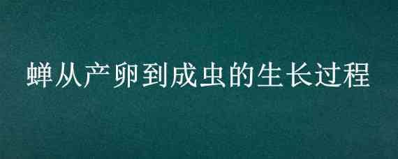 蝉从产卵到成虫的生长过程 蝉从产卵到成虫的生长过程视频