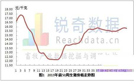 2013年第50周全国生猪价格震荡下跌 今日全国生猪价格涨幅