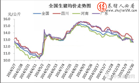 2015年1月国内生猪市场走势（2016全国生猪价格走势图）