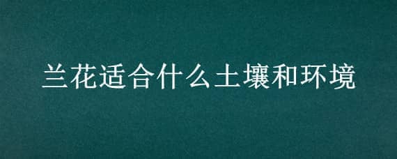 兰花适合什么土壤和环境（兰花适合什么土壤和环境烂根了怎么办）