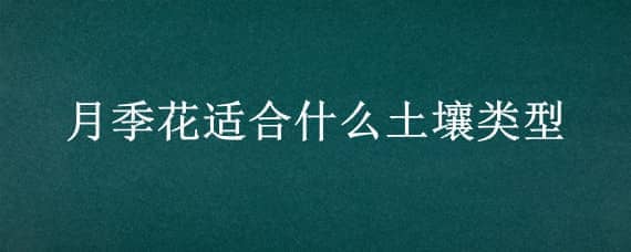 月季花适合什么土壤类型（月季花的土壤要求）