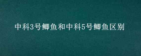 中科3号鲫鱼和中科5号鲫鱼区别（中科5号鲫鱼和三号）