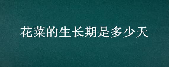 花菜的生长期是多少天 花菜要长多久