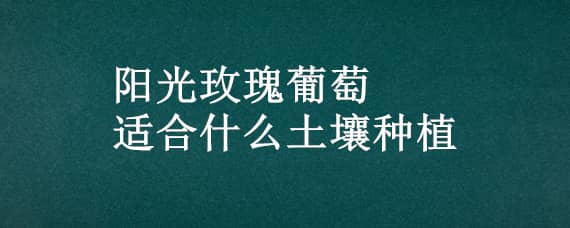 阳光玫瑰葡萄适合什么土壤种植 阳光玫瑰葡萄种植要求