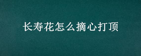 长寿花怎么摘心打顶（长寿花如何打顶和摘心）