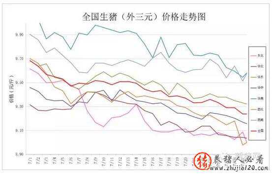 高温天气席卷全国（中国今年高温）