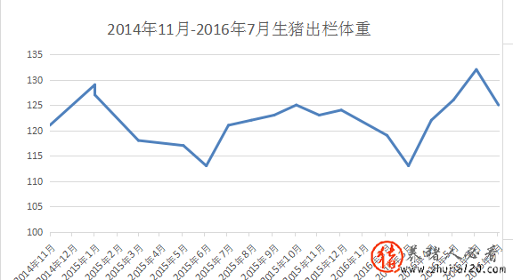 利润、猪价（猪价成本多少）