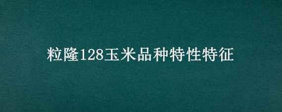 粒隆128玉米品种特性特征 粒隆128玉米种子