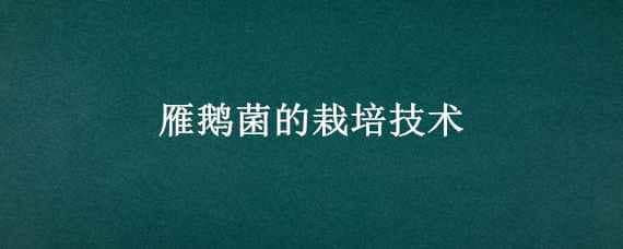 雁鹅菌的栽培技术（雁鹅菌生长在哪里）