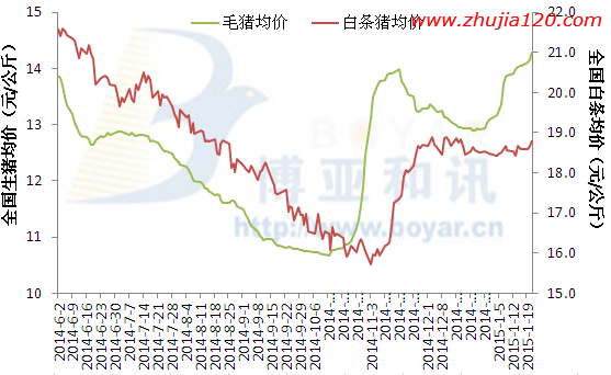 猪价再次呈现北跌南涨局面，波动幅度仍在0.10-0.30元/公斤