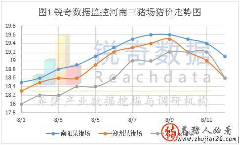 河南猪场猪价连续3天大地震 河南暴雨对猪价影响