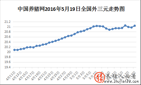 猪价高位调整 猪价调整信息