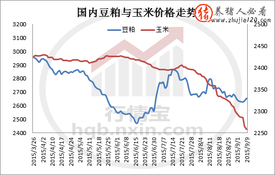 新旧玉米价格接轨 全国新玉米收购价格