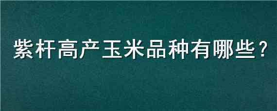 紫杆高产玉米品种有哪些（紫杆紫叶的玉米品种有哪些）