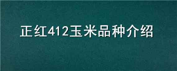 正红412玉米品种介绍（正红412玉米种子）