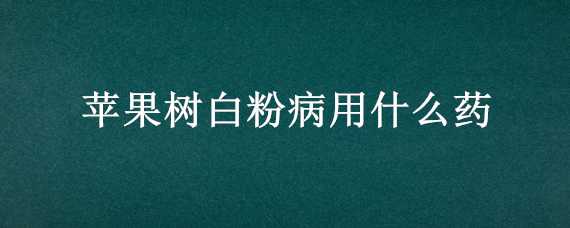 苹果树白粉病用什么药（苹果树的白粉病用什么药）