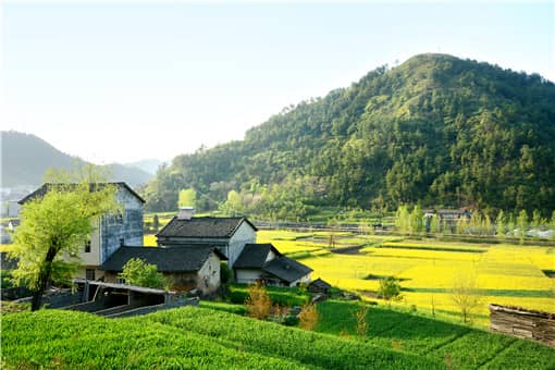 农村的暴利小生意有哪些 农村利润高不起眼的小生意