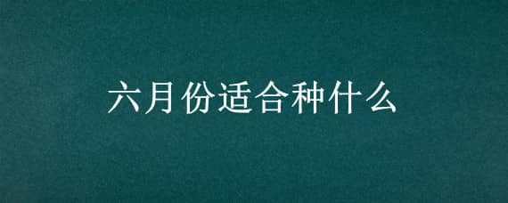 六月份适合种什么（六月份适合种什么花）