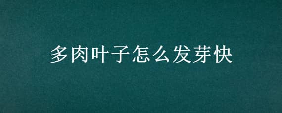 多肉叶子怎么发芽快（多肉叶子怎么发芽快一点）