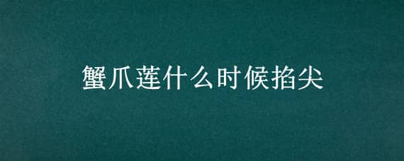 蟹爪莲什么时候掐尖（蟹爪莲什么时候剪枝呢）