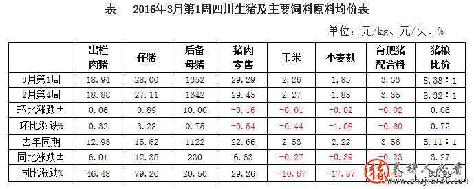 2016年3月第1周生猪监测：仔猪价格持续走强 猪粮比创5年新高