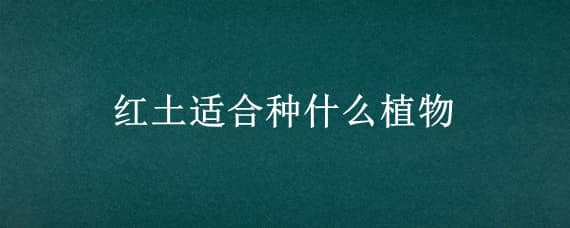 红土适合种什么植物 红土适合种哪些植物