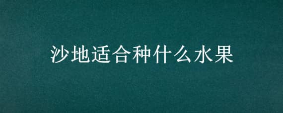 沙地适合种什么水果（沙地适合种植什么水果）