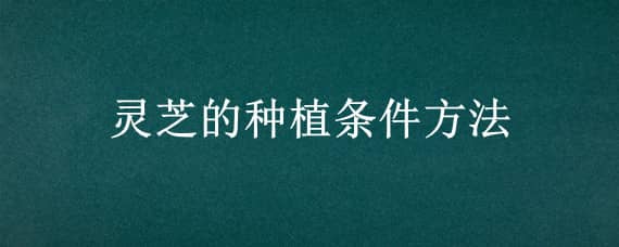 灵芝的种植条件方法（灵芝的种植方法栽培技术）