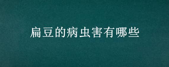 扁豆的病虫害有哪些 扁豆的病虫害有哪些危害