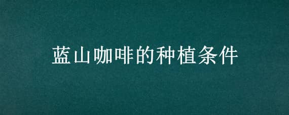 蓝山咖啡的种植条件（蓝山咖啡树生长条件）