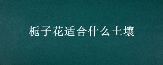 栀子花适合什么土壤（栀子花适合什么土壤生长）