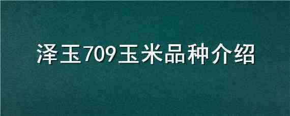 泽玉709玉米品种介绍（泽玉802玉米品种）