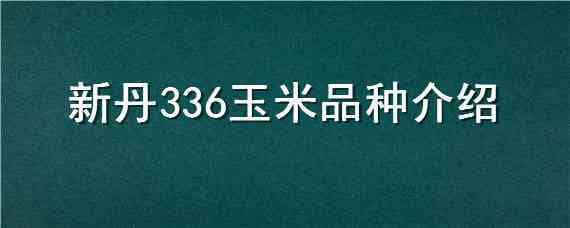 新丹336玉米品种介绍（丹玉336玉米品种）