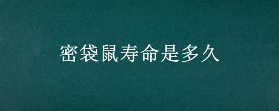 密袋鼠寿命是多久 密袋鼠寿命是多久与仓鼠的寿命相比