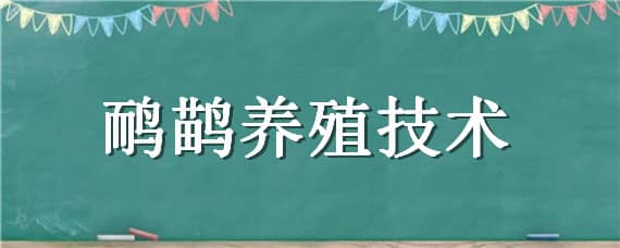 鸸鹋养殖技术（鸸鹋养殖技术视频）